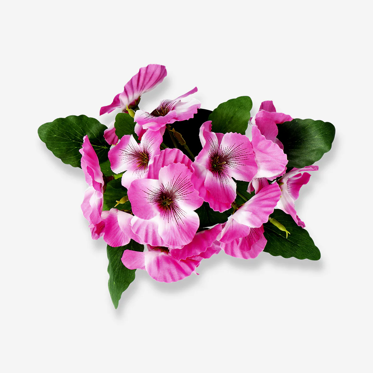 Decorative plant with flowers - 20 cm - Image 3