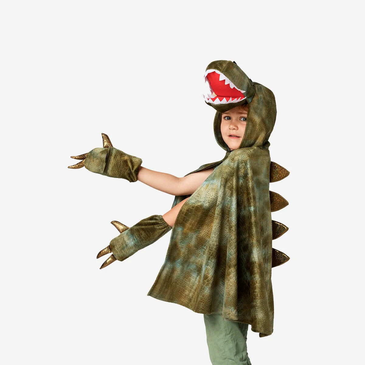 Dinosaur costume. 4-8 years