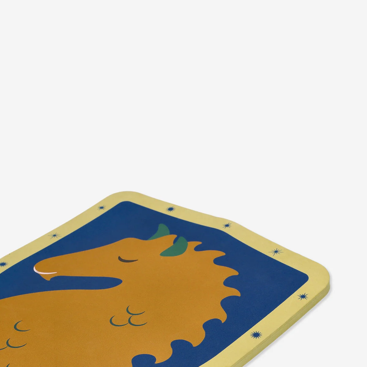 Foam shield - Image 2