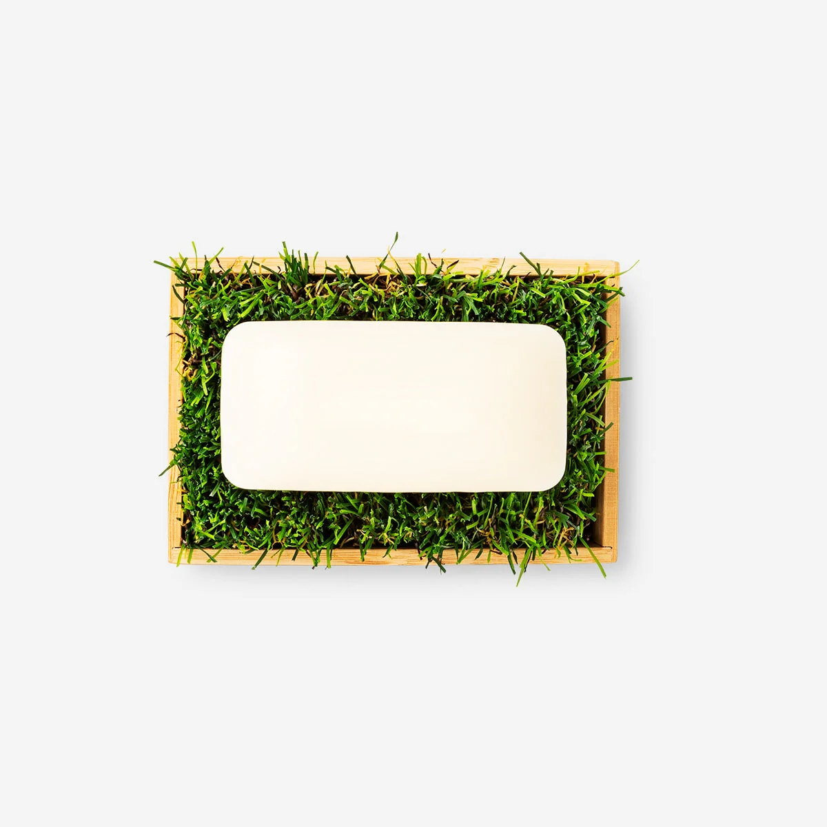 Soap dish - Image 2
