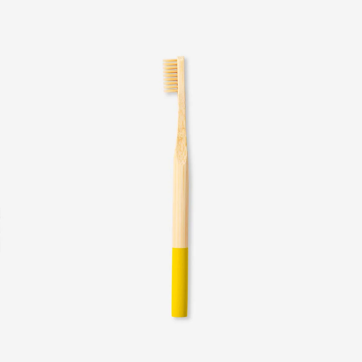 Toothbrush - Image 2